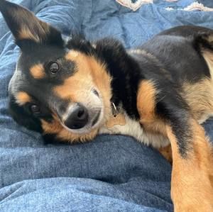 Meet your Posher, Jess